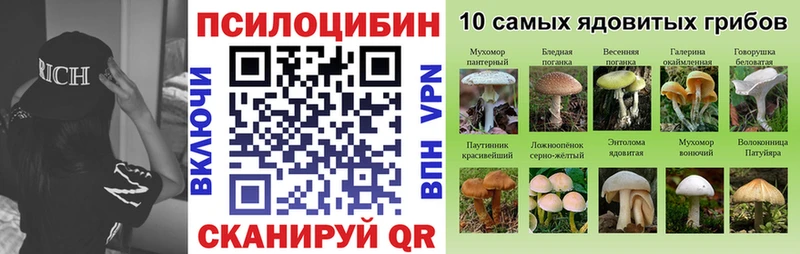 Псилоцибиновые грибы Psilocybine cubensis  Семилуки 